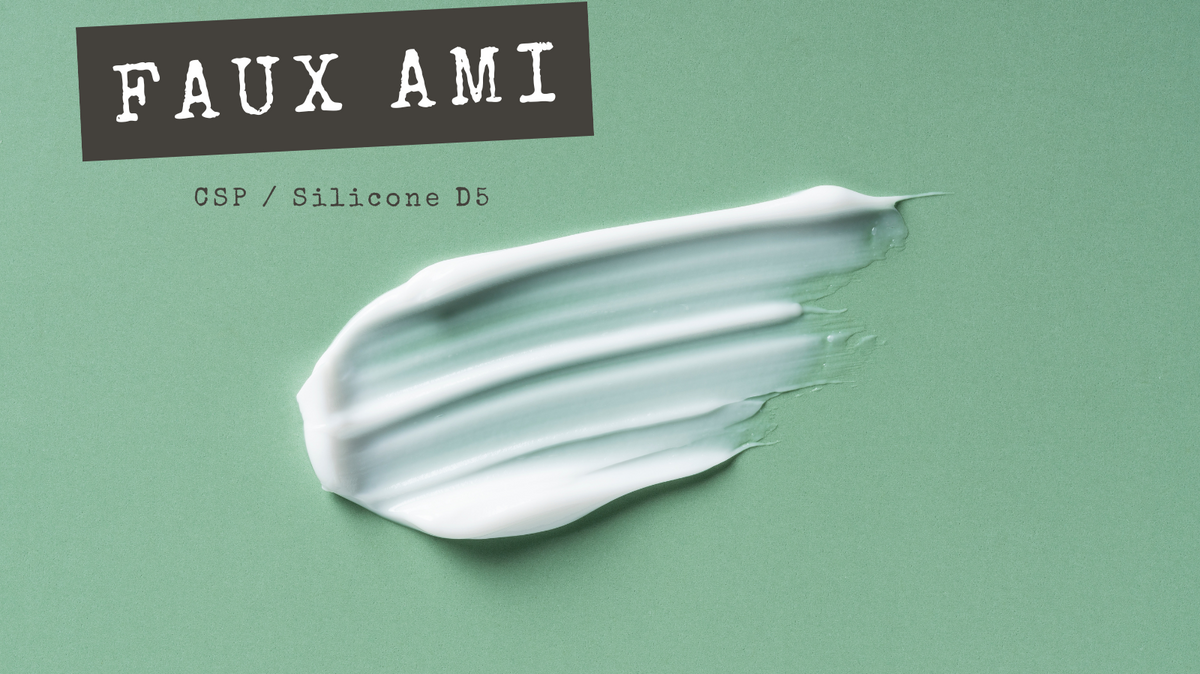 FAUX AMIS - CSP