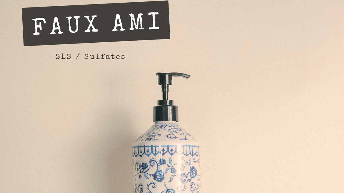 FAUX AMIS - SLS