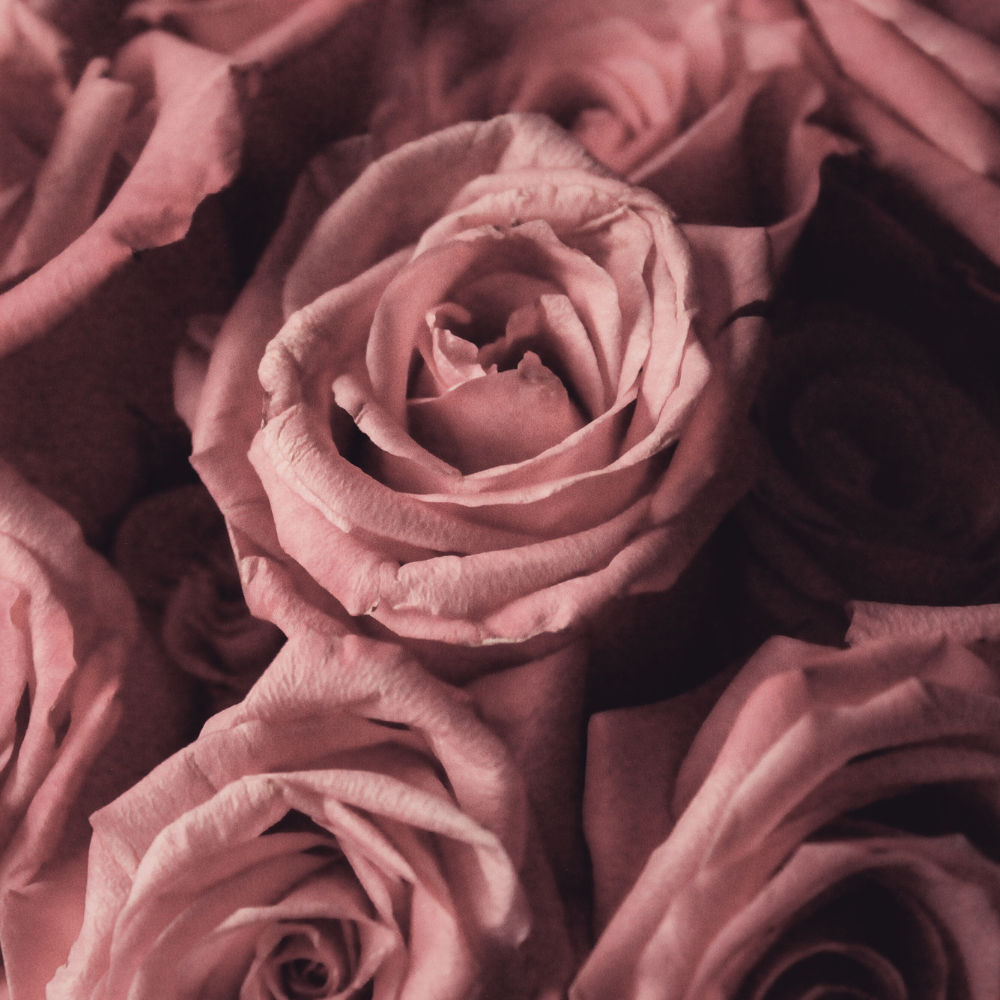 Roses de damas bio Savons Arthur
