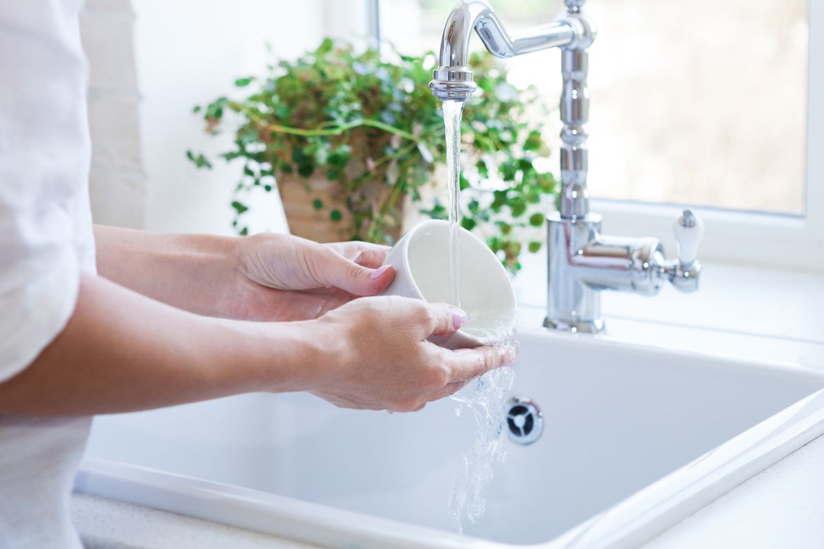 Comment bien choisir son produit vaisselle biologique ?