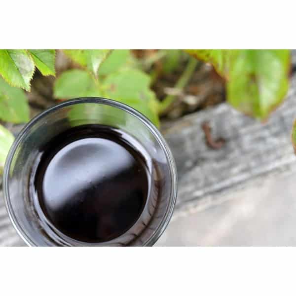 Huile d’olive bio : nouveau producteur