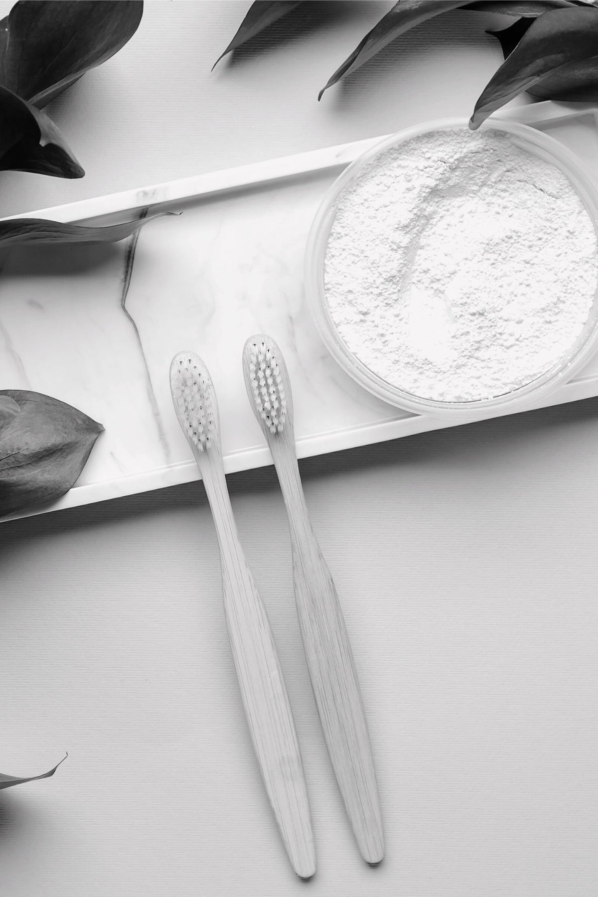 Dentifrices en Poudre