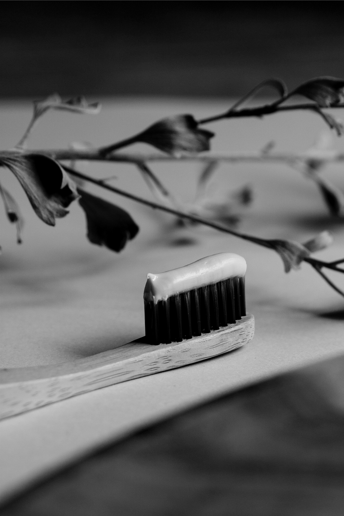 Dentifrices en Pâtes