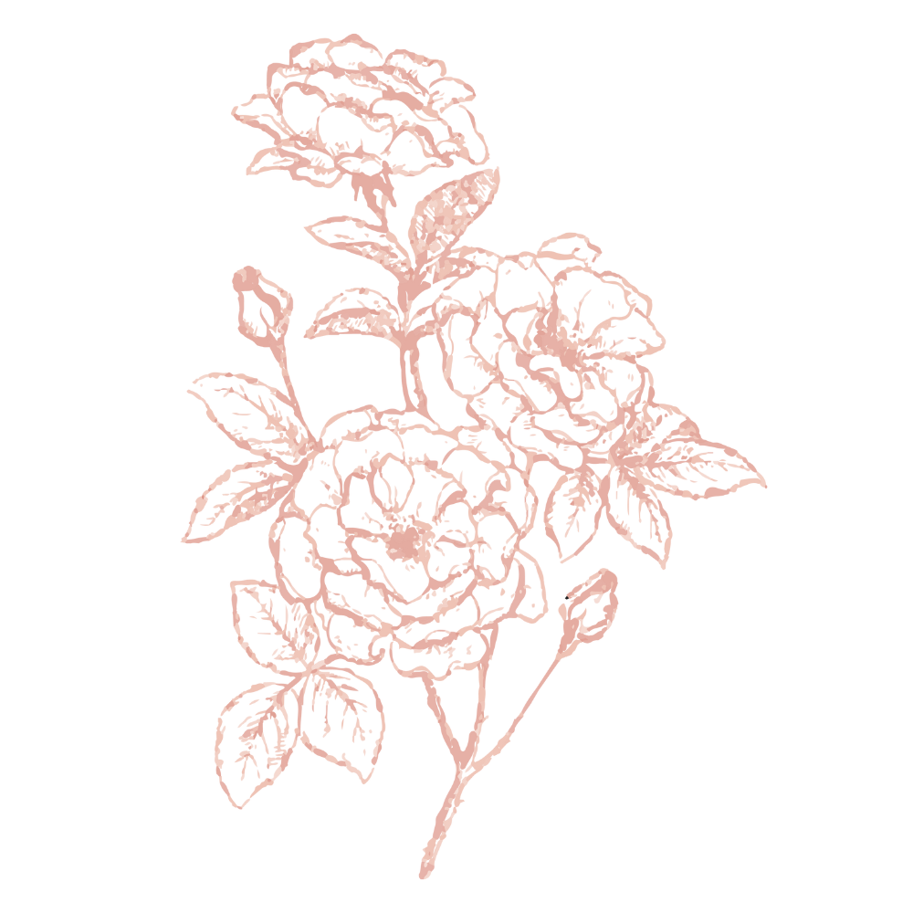 Rose de damas image