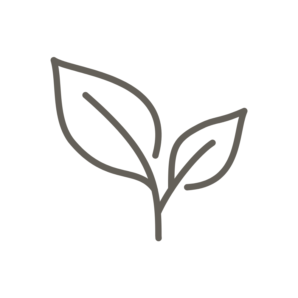 Ingrédients végétaux biologiques